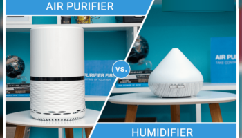 Air Purifiers Vs Humidifiers