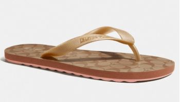 Zak Flip Flop